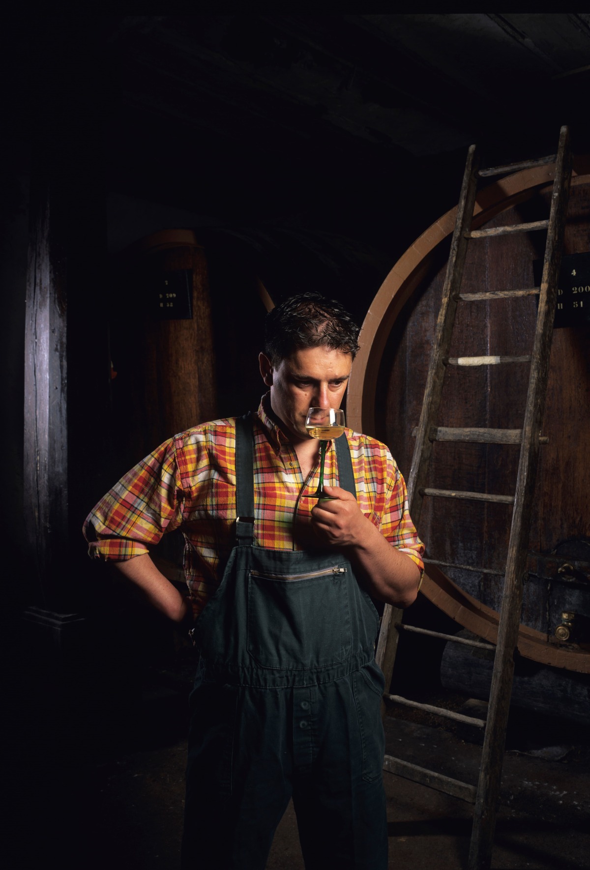 Jean-Pierre Moreau dans ses vignes